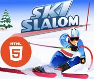 Ski Slalom